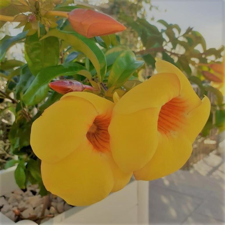 Villa Infinity ∞ ซานตาเทเรซา ดี รีวา ภายนอก รูปภาพ